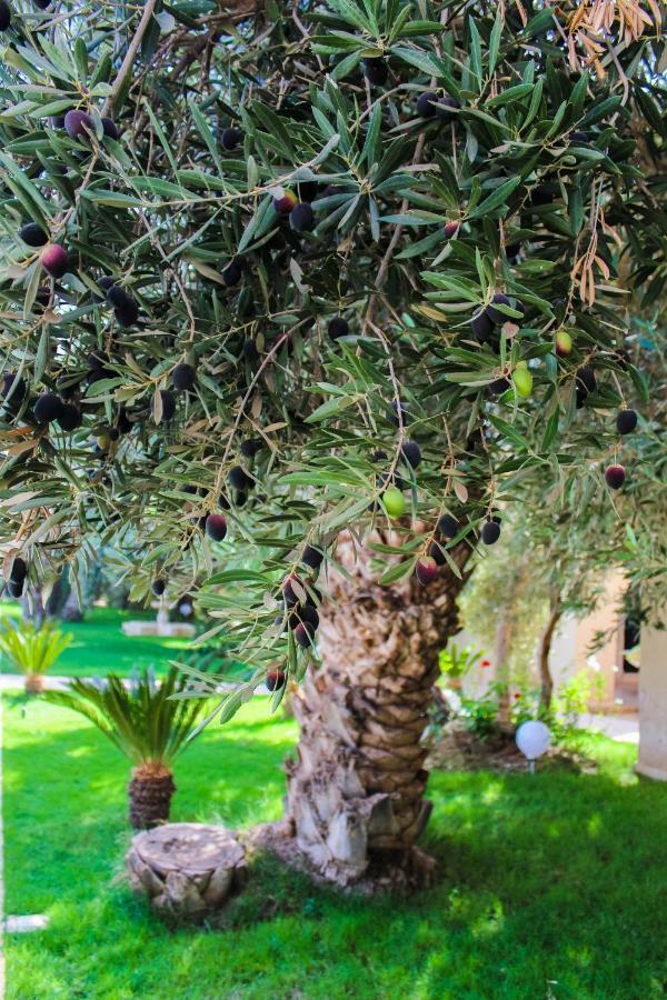 Riad Le Jasmin Taroudant Eksteriør billede