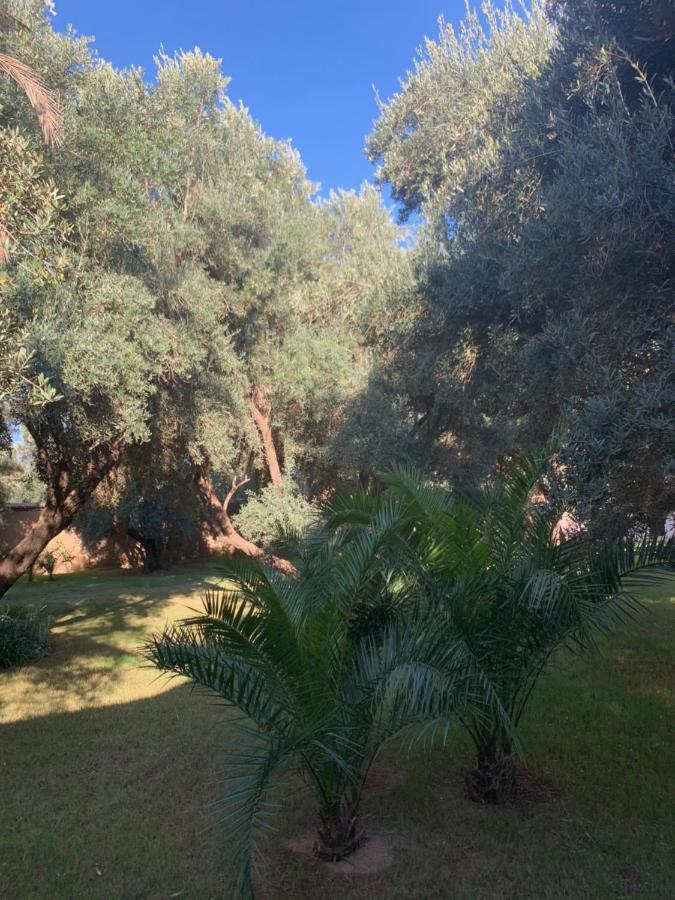 Riad Le Jasmin Taroudant Eksteriør billede