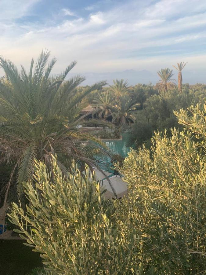 Riad Le Jasmin Taroudant Eksteriør billede