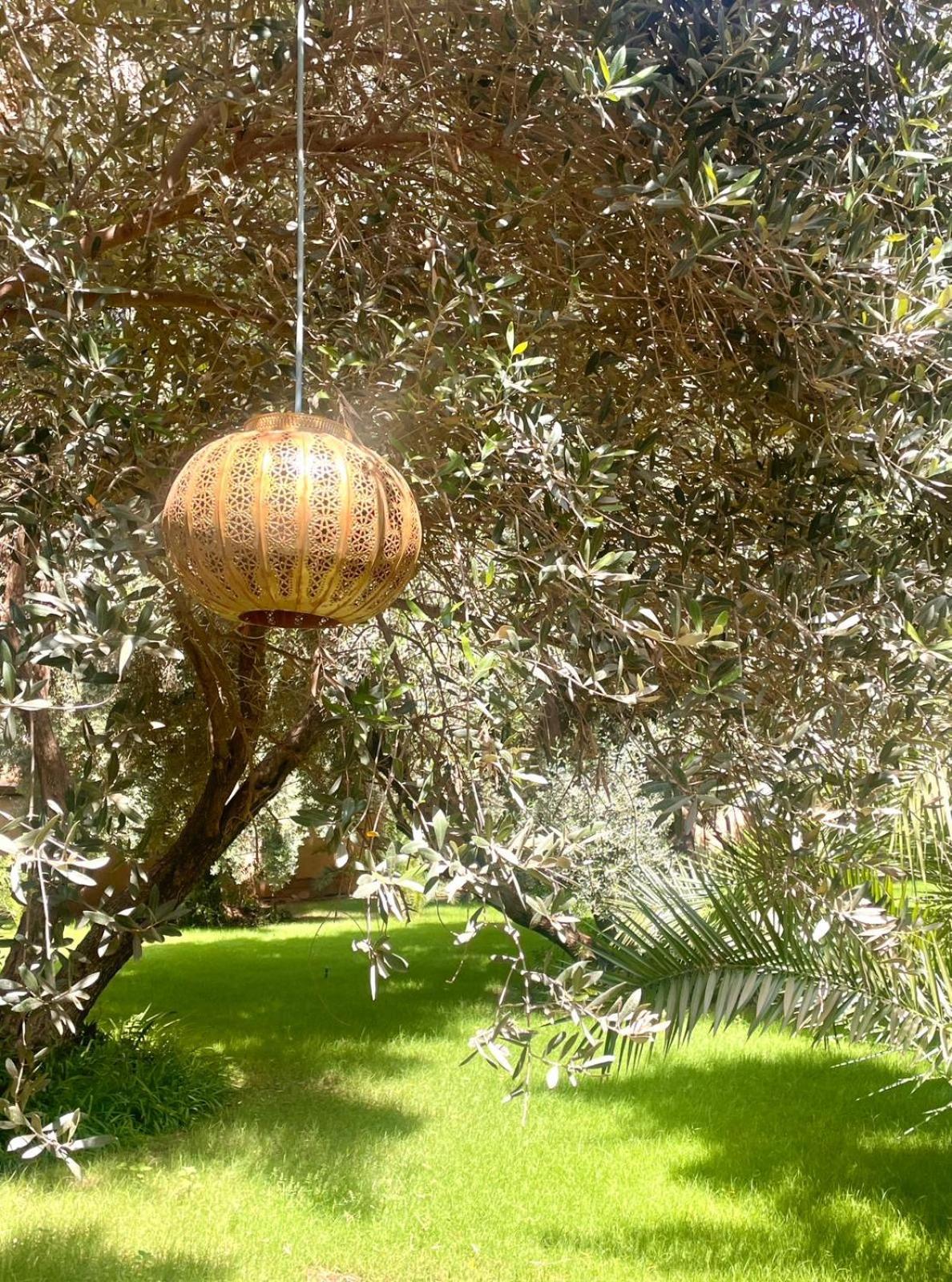 Riad Le Jasmin Taroudant Eksteriør billede