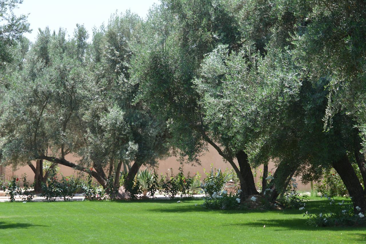 Riad Le Jasmin Taroudant Eksteriør billede